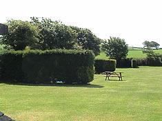 Camping pitches divided by hedges